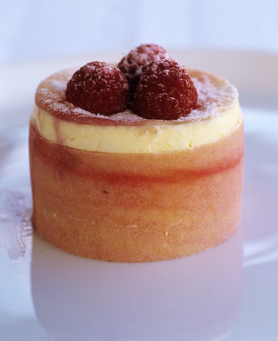 Small raspberry vanilla cake