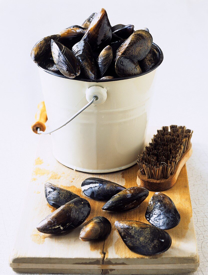 Mussels with brush