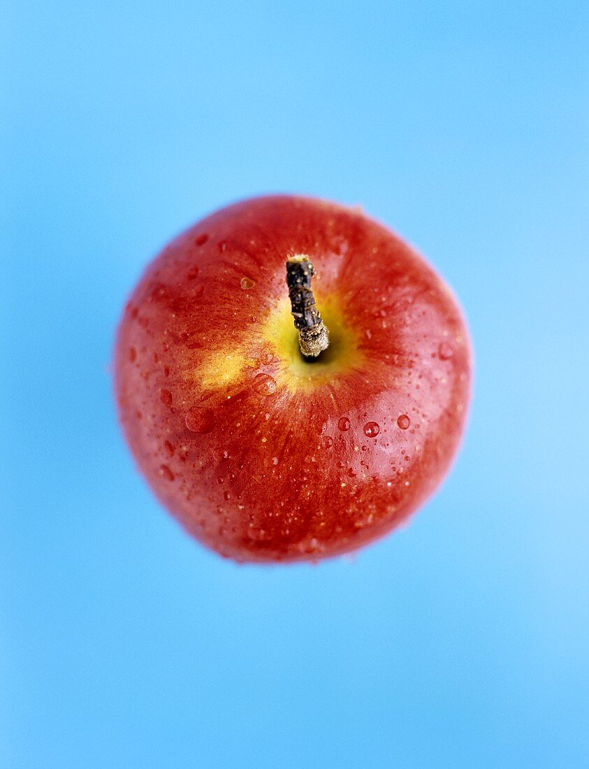 Ein roter Apfel (Sorte: Fuji)