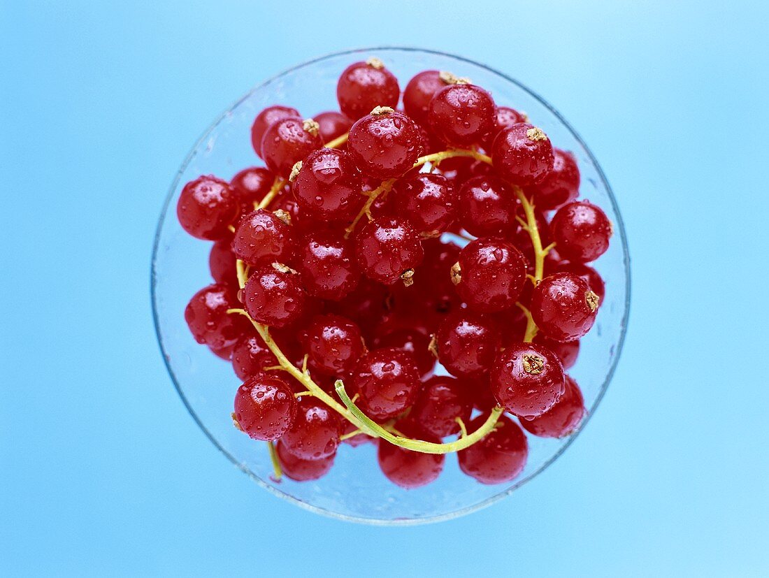 Redcurrants