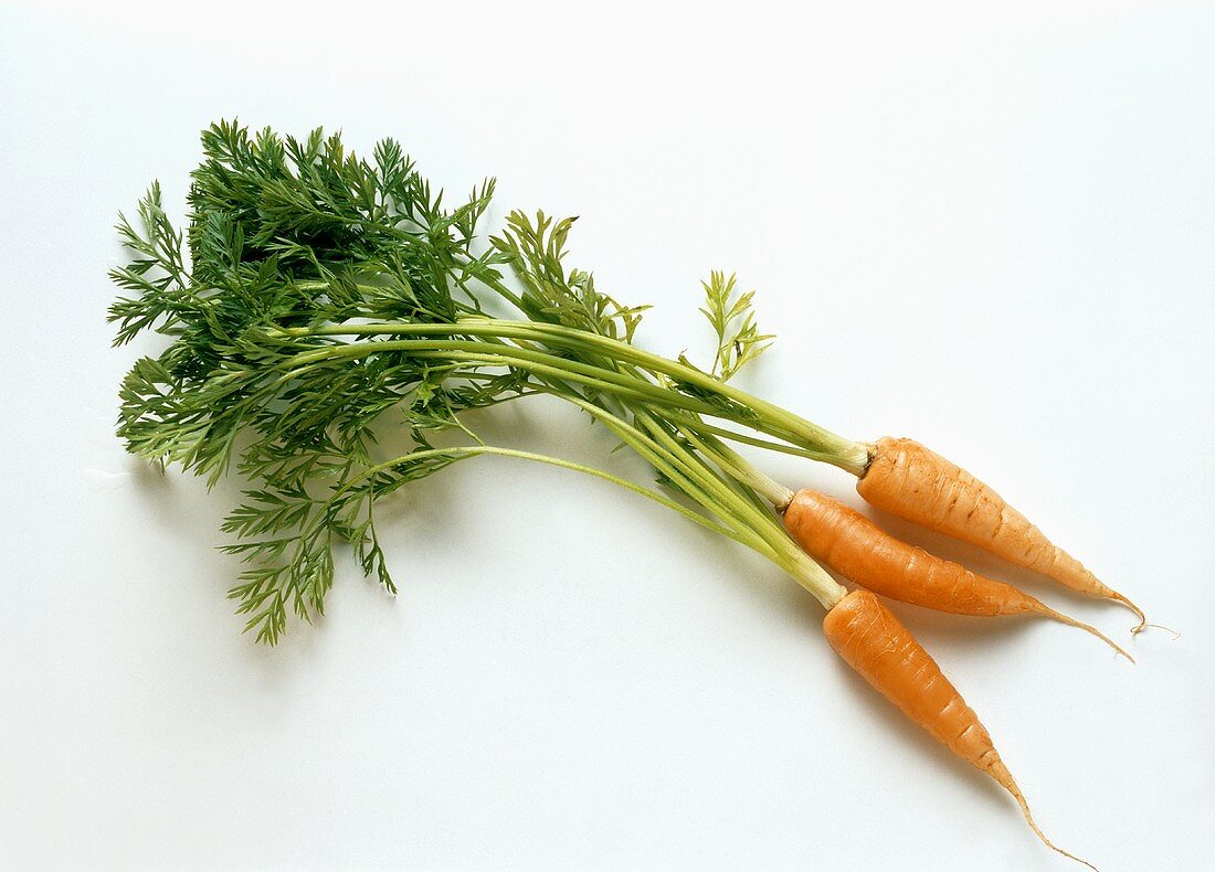 Three carrots with tops