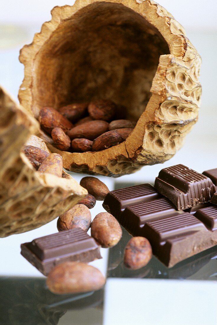Stillleben mit Kakaofrucht, Kakaobohnen und Schokolade