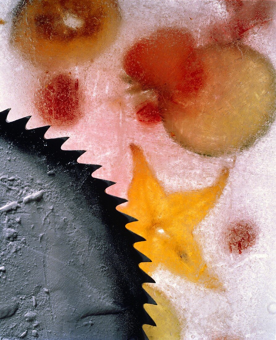 Slices of fruit under ice