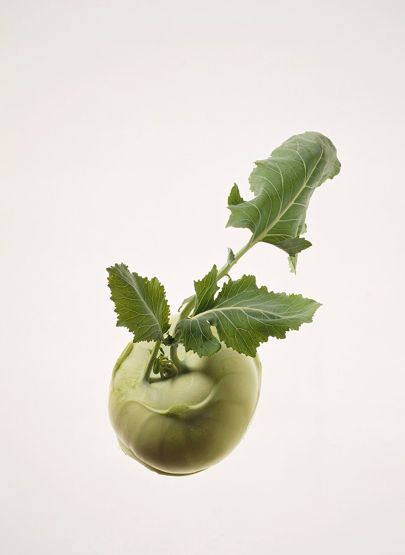 A kohlrabi