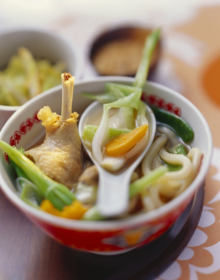Korean duck and leek stew