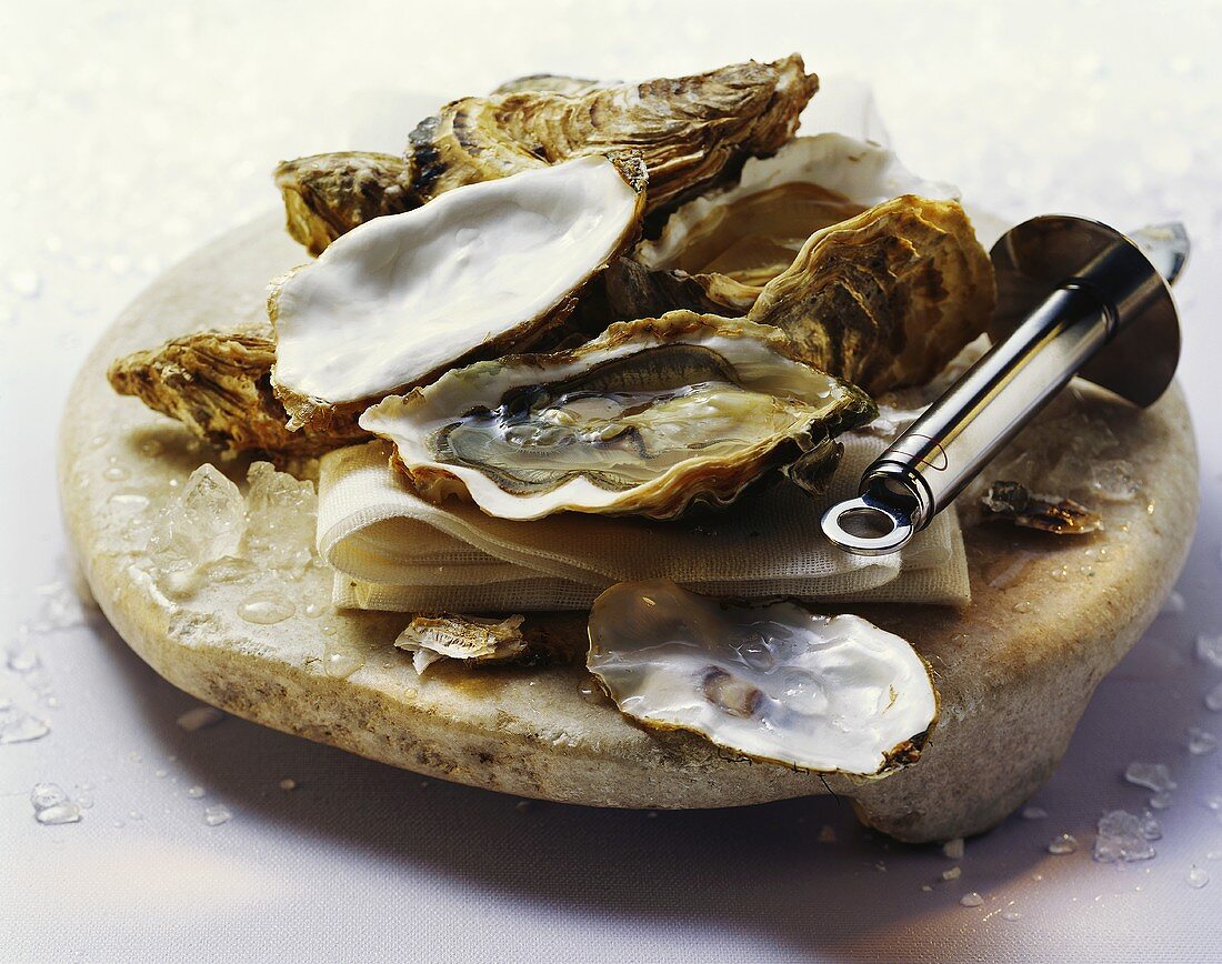 Oysters with oyster knife
