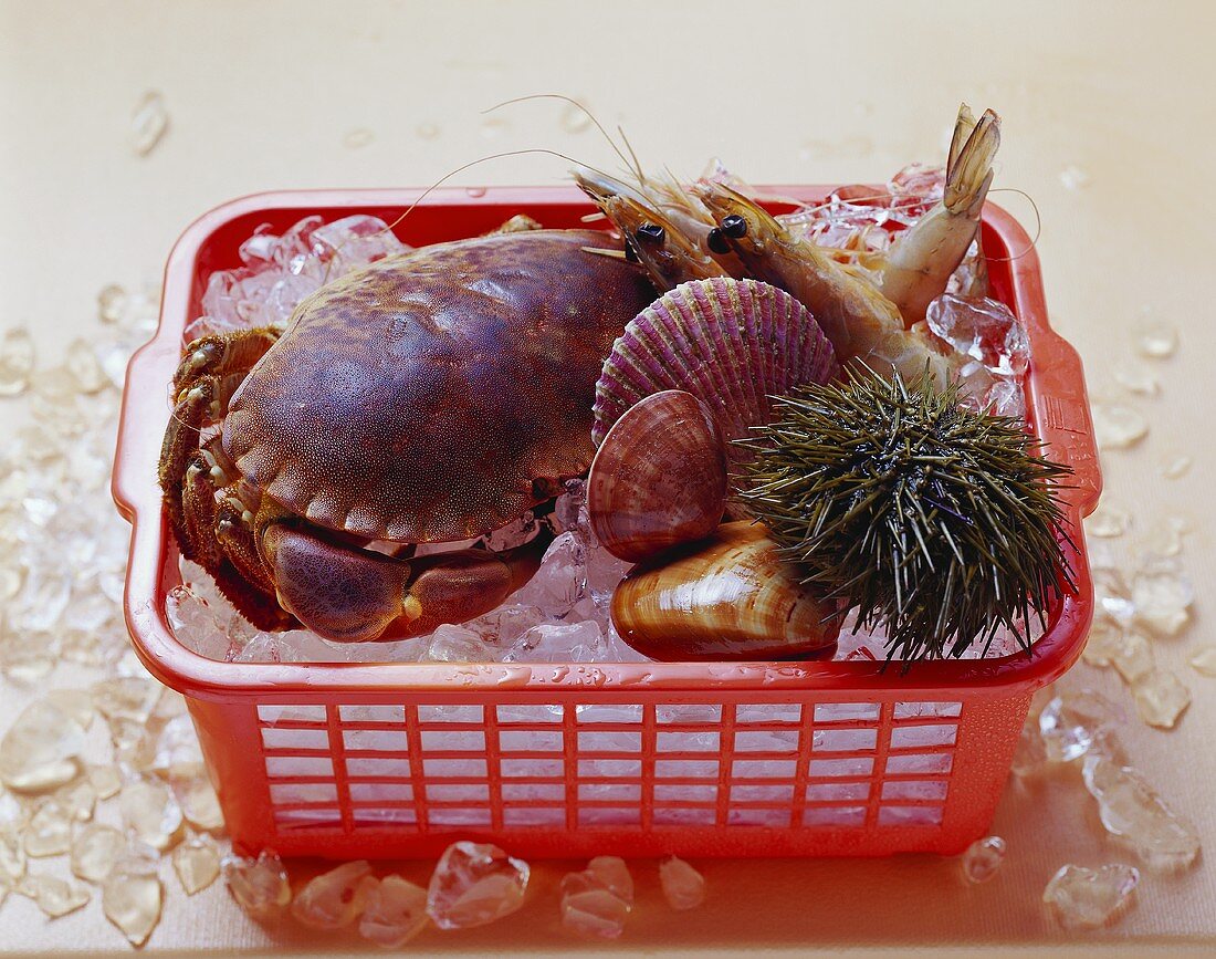 Fresh shellfish (sea urchin, crab etc.) in basket