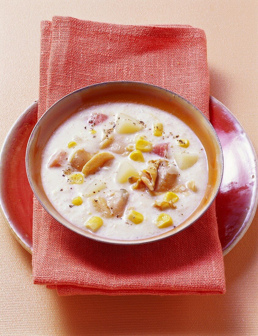 Clam Chowder (Muscheltopf aus den USA)