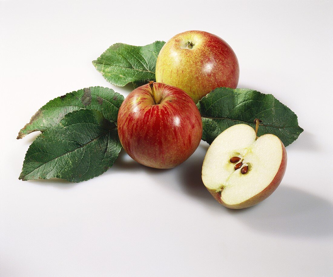 Äpfeln mit Blättern (Sorte: Rheinischer Krummstiel)