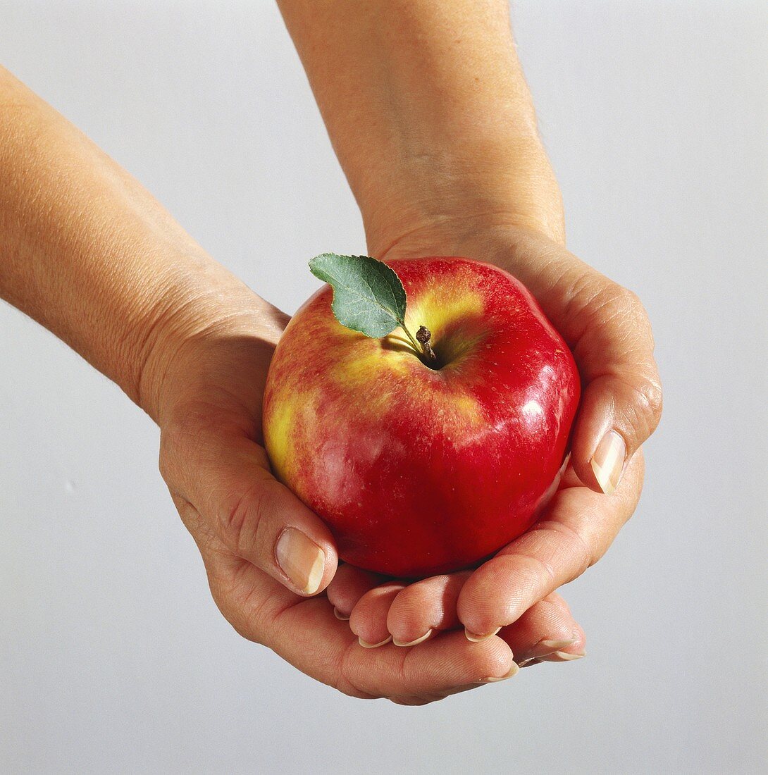 Hands holding a red apple