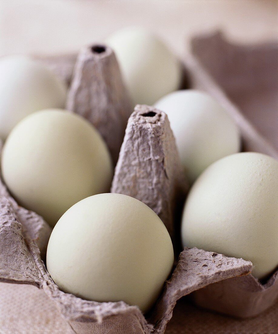 Eier in der Eierschachtel