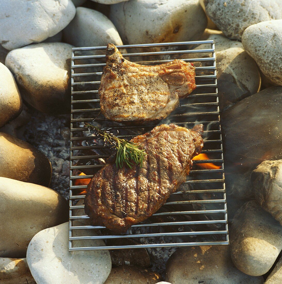 Meat on grill rack above fire