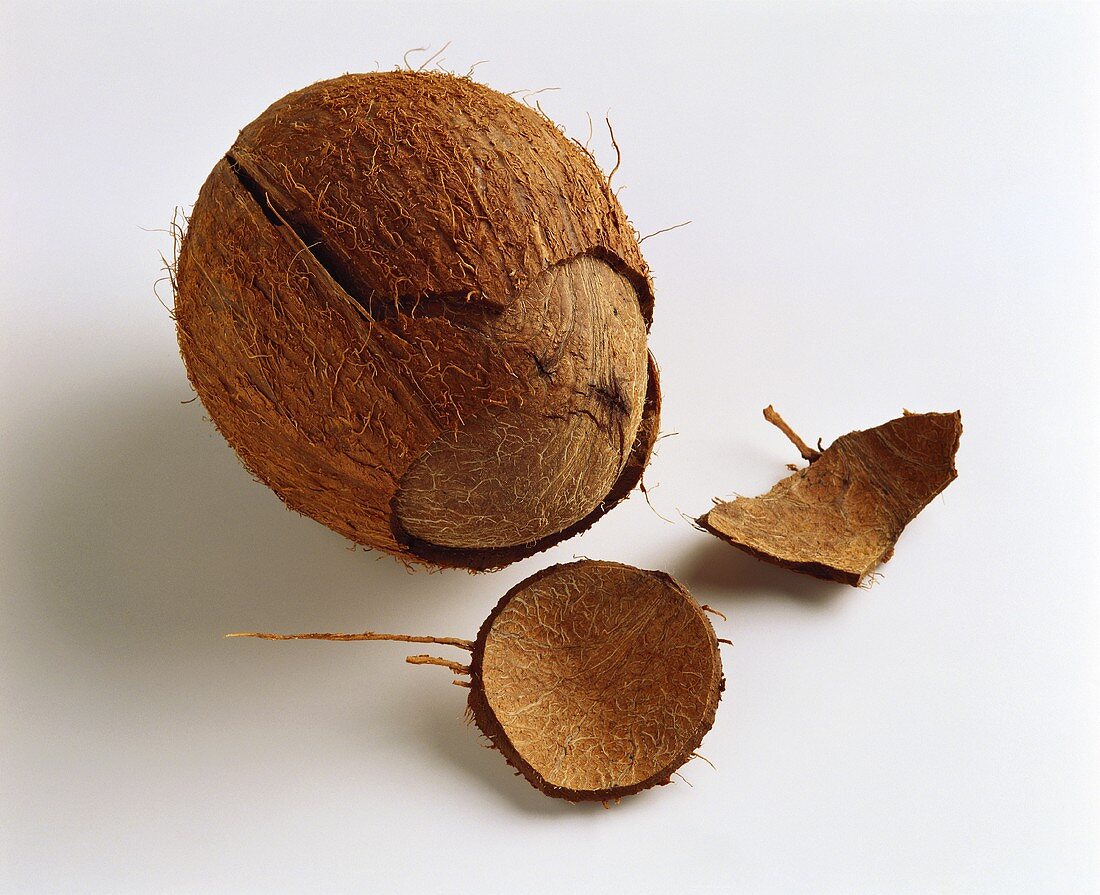 A coconut