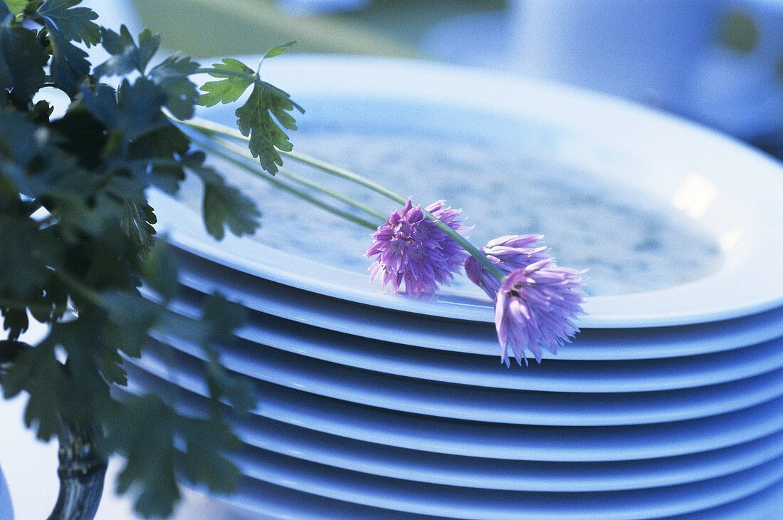 Kräutersuppe mit Schnittlauchblüten