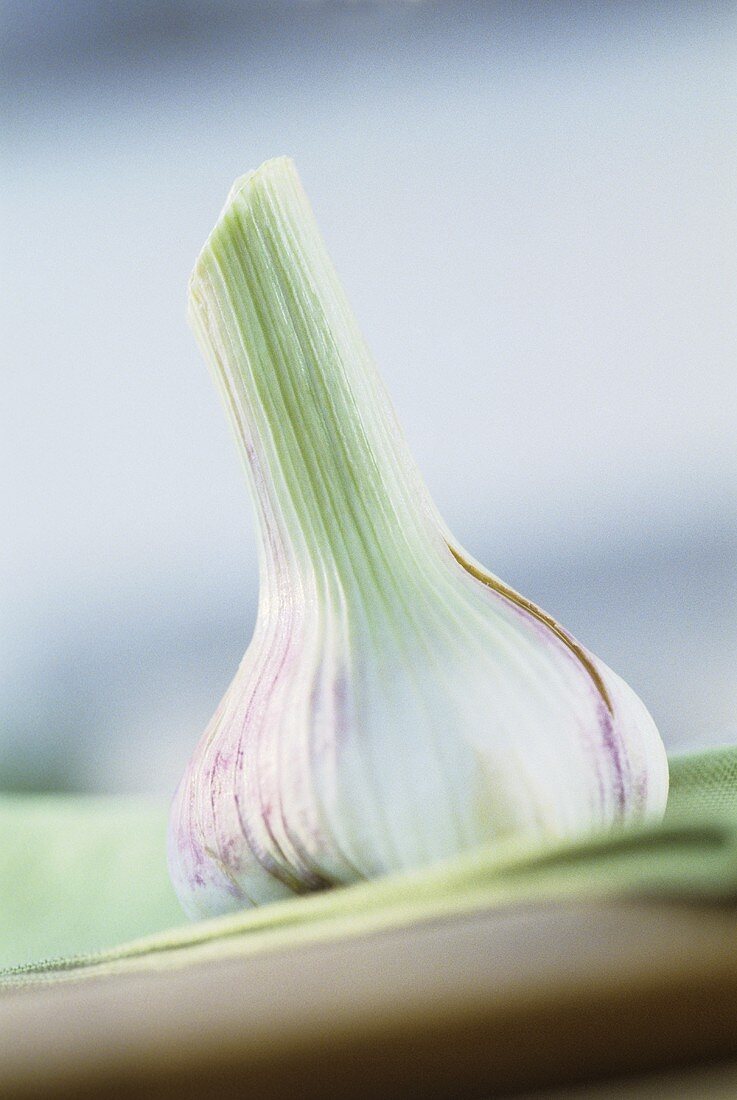 A garlic bulb