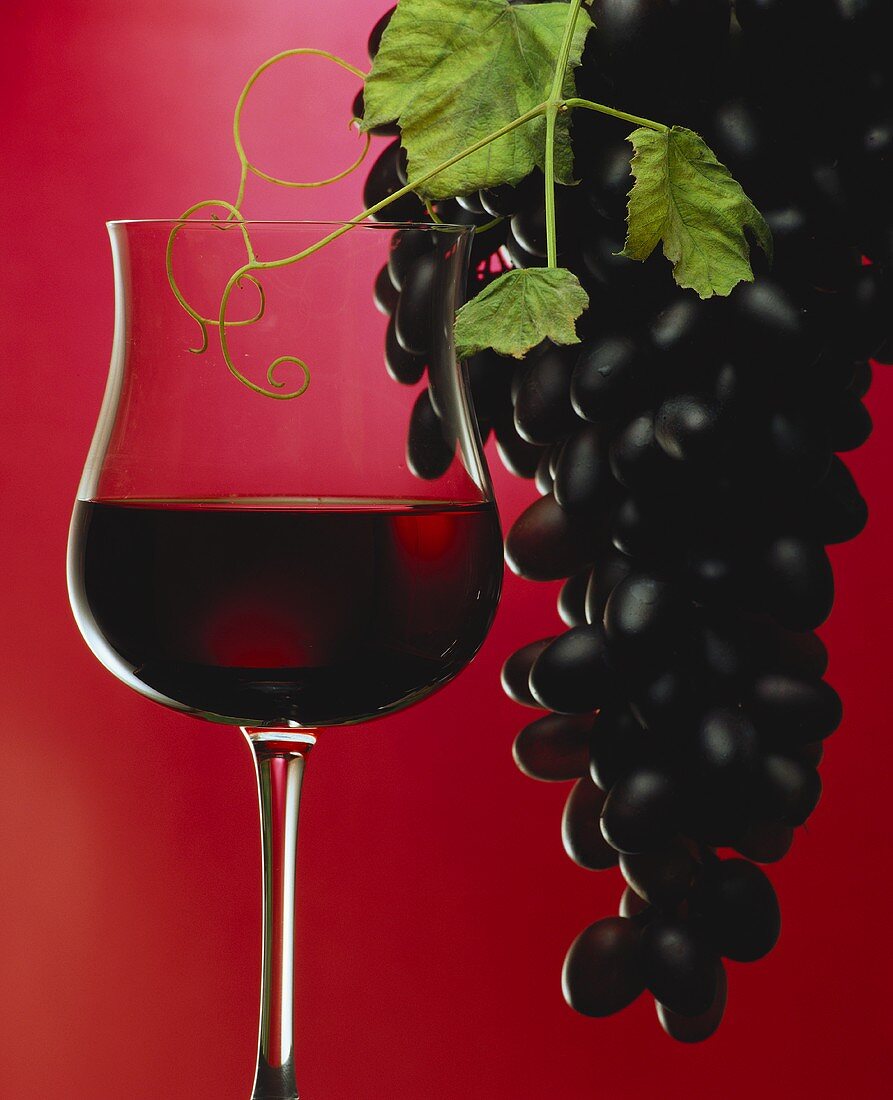 Ein Glas Rotwein mit Weintrauben