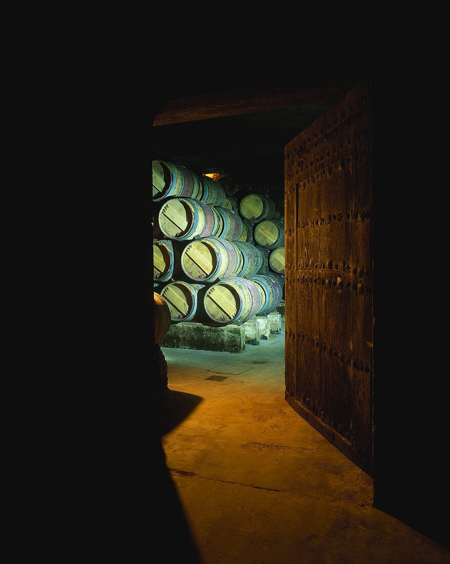 Old wine cellar with wooden barrique barrels