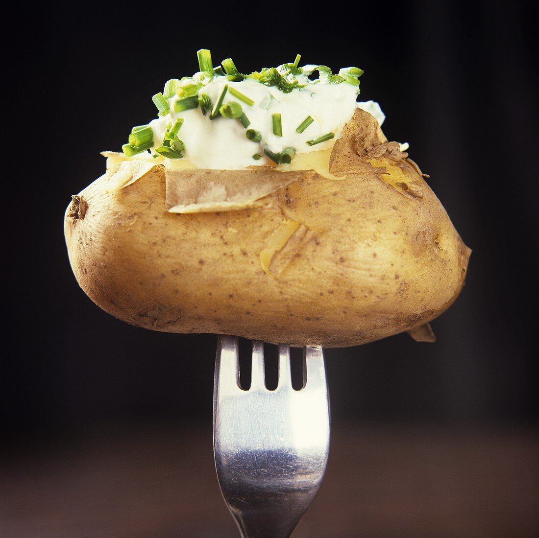 Jacket potato with crème fraiche and chives on fork