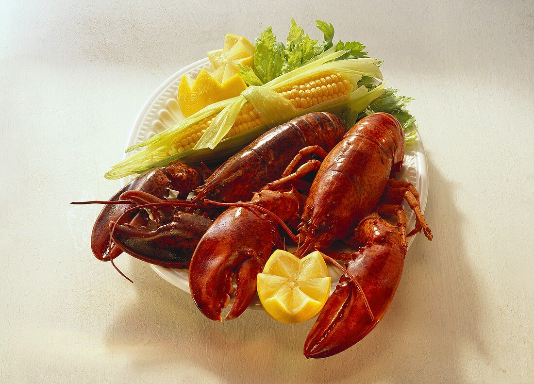 Cooked lobster with corncob