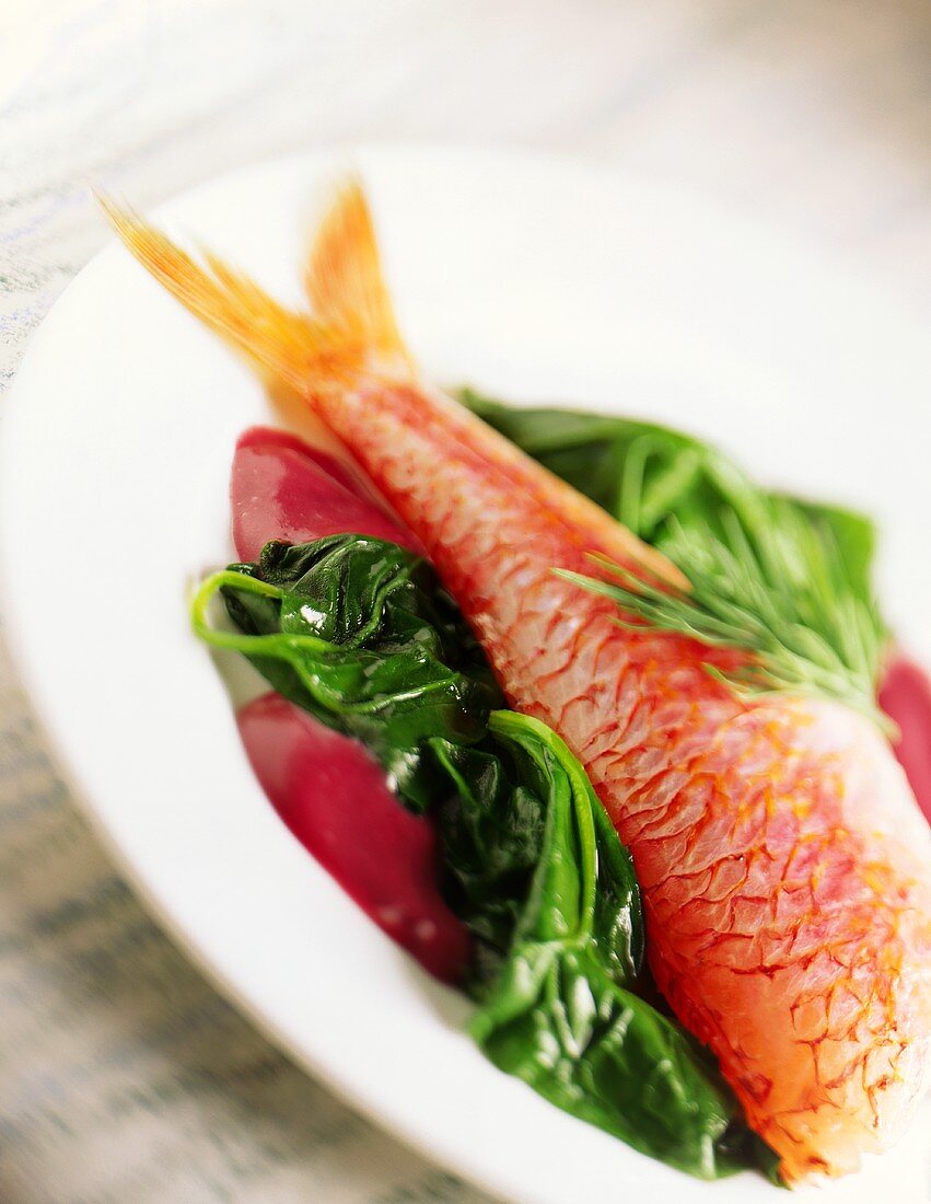 Red mullet on steamed spinach
