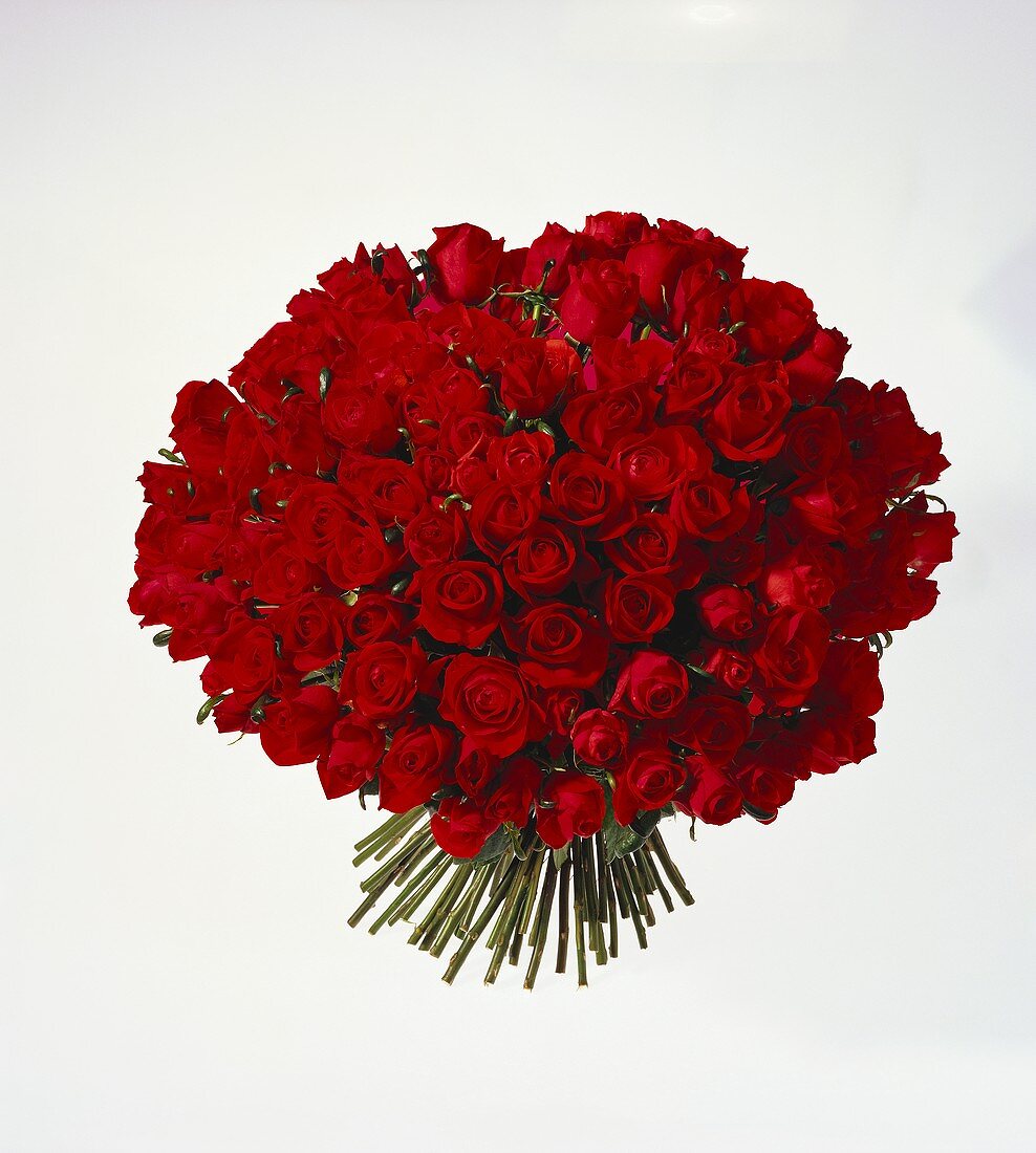 Sumptuous bouquet of red roses
