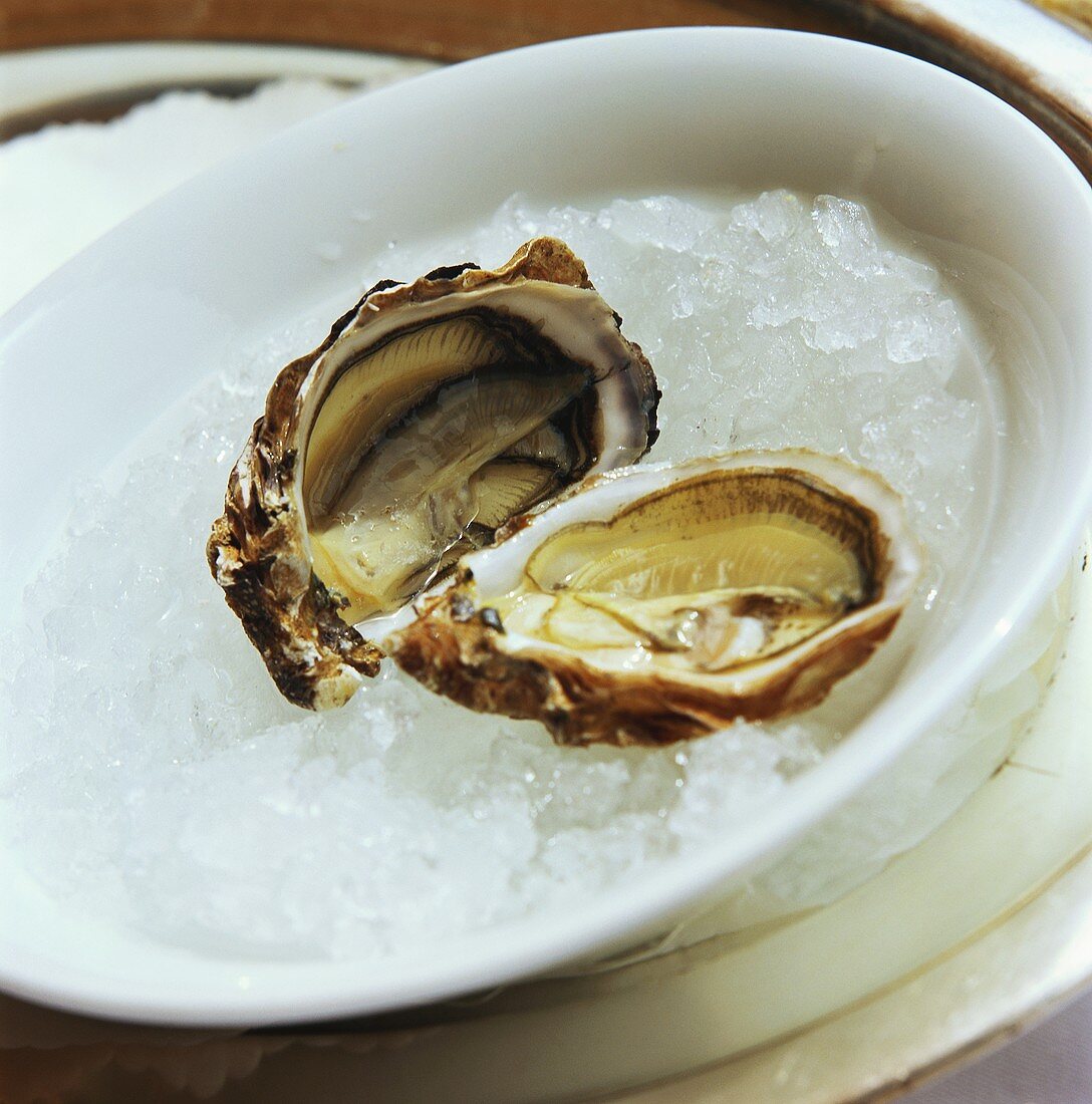 Fresh oysters on crushed ice