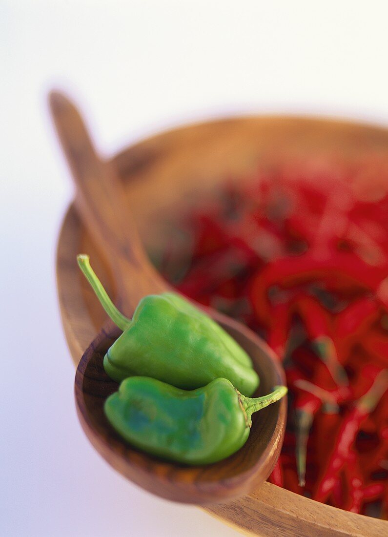 Red chili peppers and green pimentos