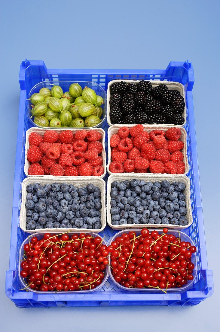 Containers of different types of berries in a crate