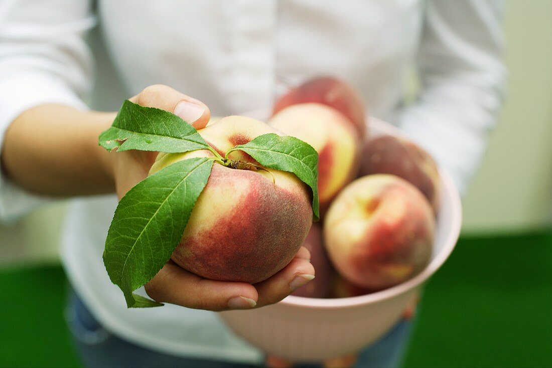 Hand hält einen Pfirsich mit Blättern