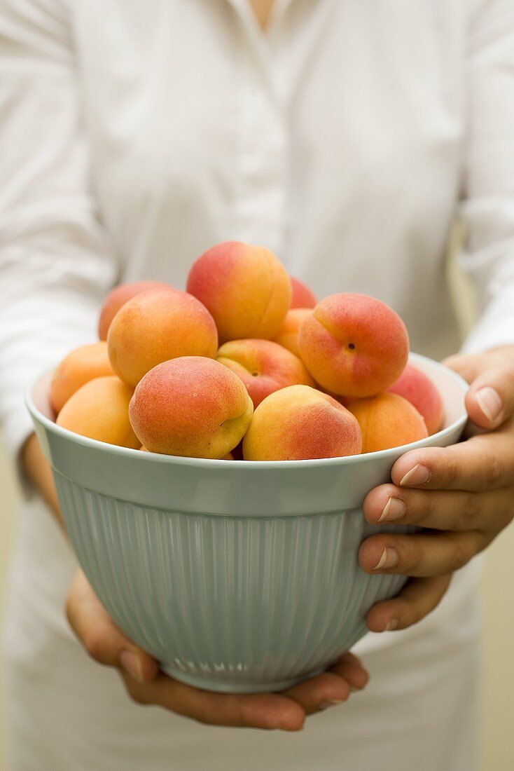 Hands holding a bowl of fresh apricots