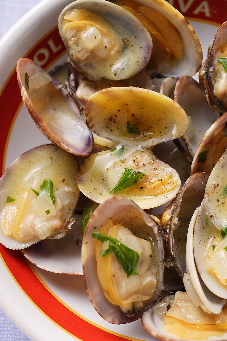 Clams in white wine and garlic stock