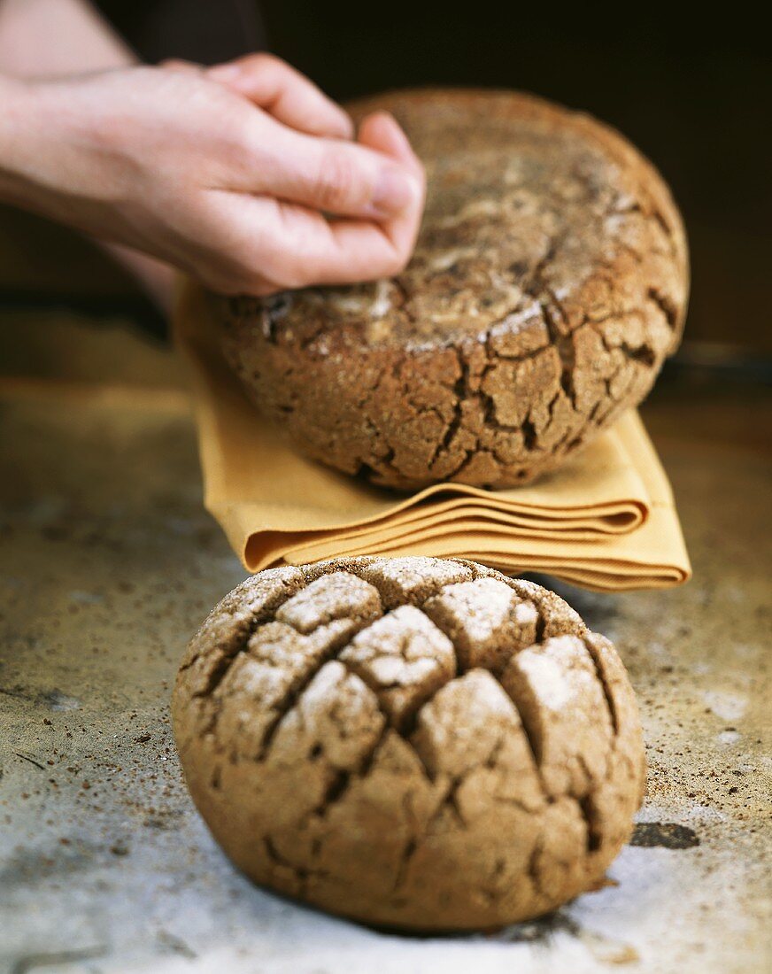 Testing to see if bread is baked through (tapping)