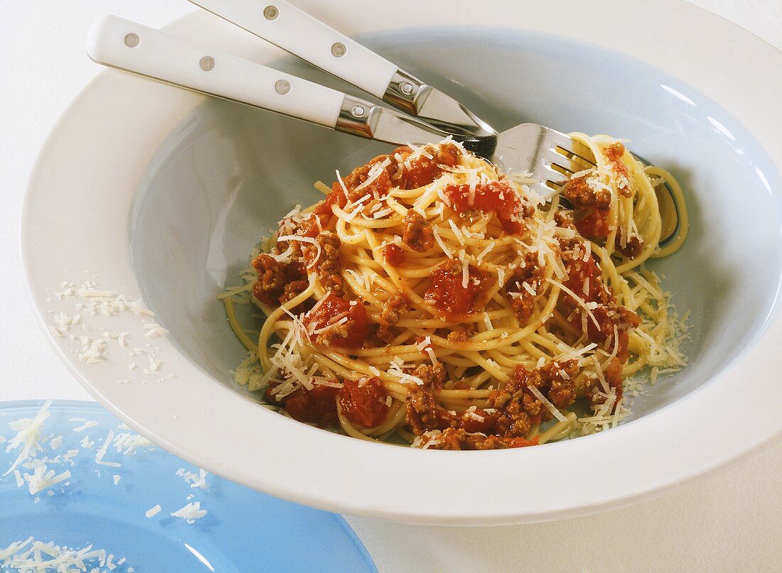 Spaghetti alla bolognese (Spaghetti mit Hackfleischsauce)