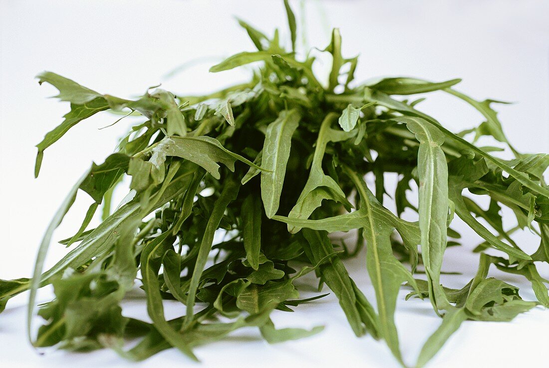 Puntarelle (Chicoréesorte, Italien)