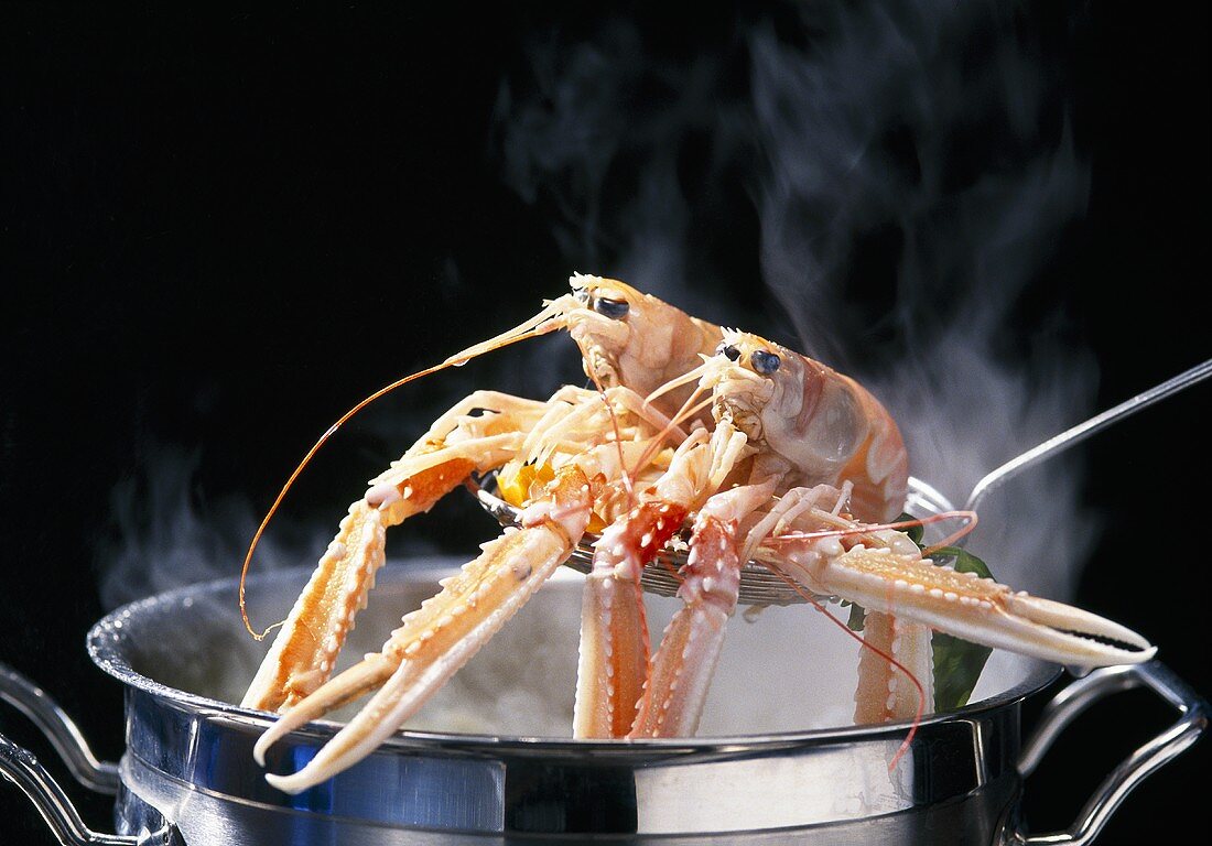 Cooking langoustine in court bouillon