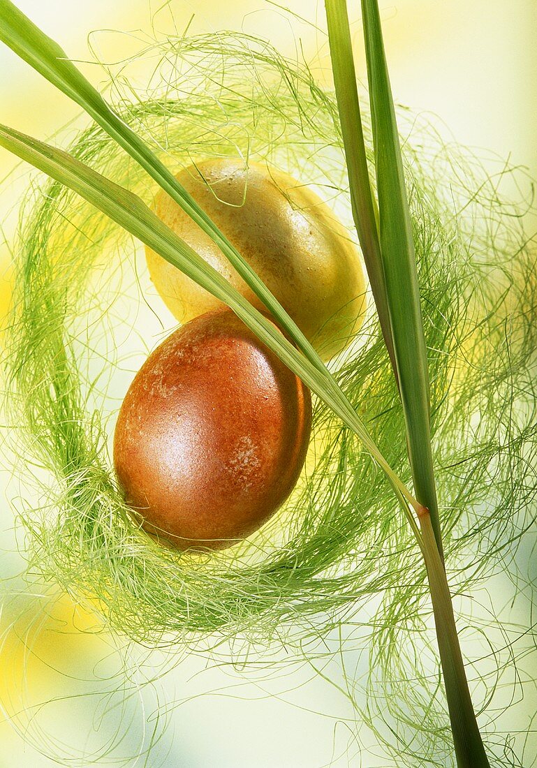 Two Easter eggs with decoration
