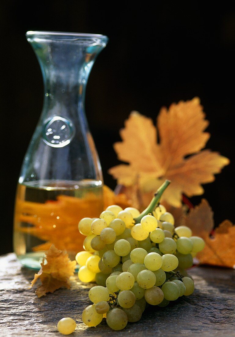 Weißwein mit Trauben und herbstlichem Weinlaub