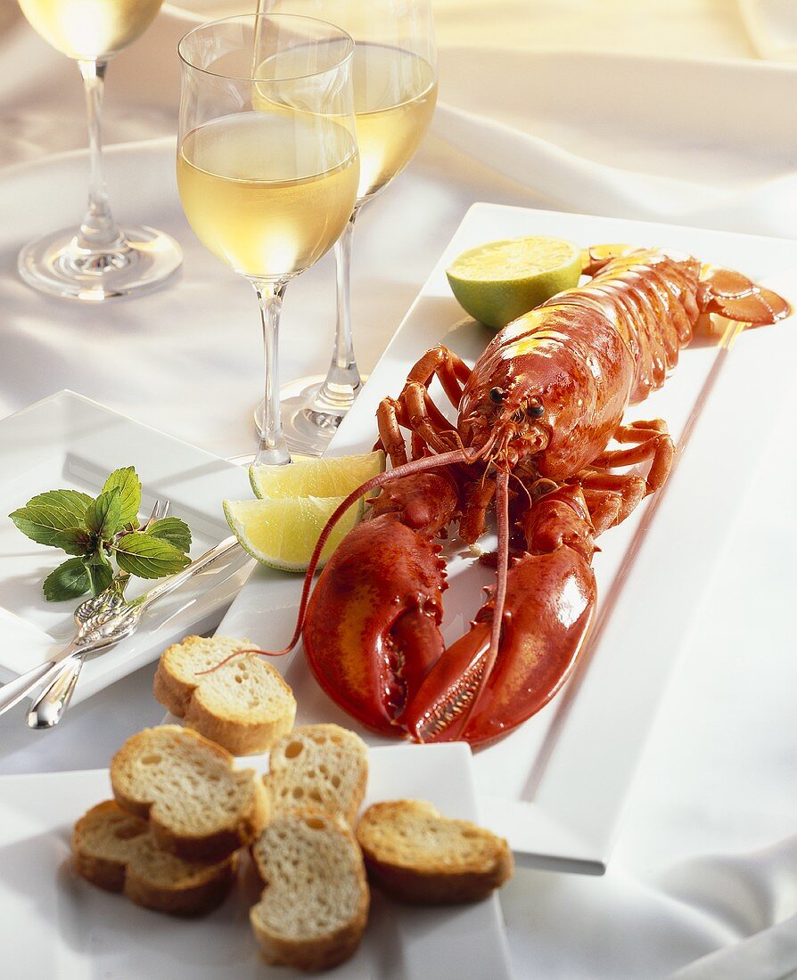 Cooked lobster with white bread and white wine