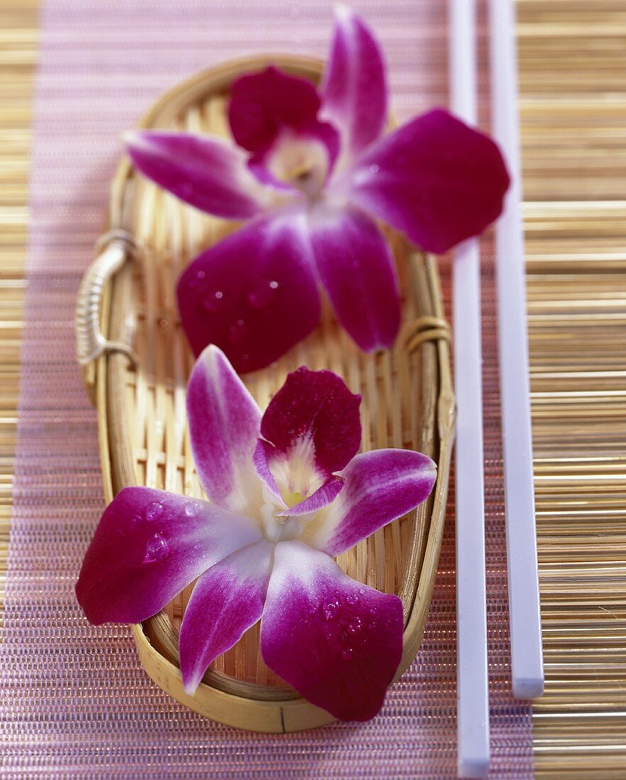 Edible 'Karma' orchid flowers in small basket