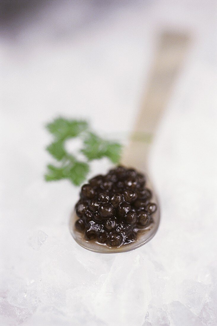 Schwarzer Kaviar auf Löffel