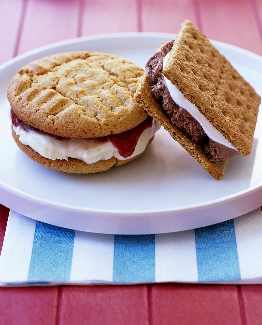 Ice cream sandwiches (biscuits with ice cream filling)