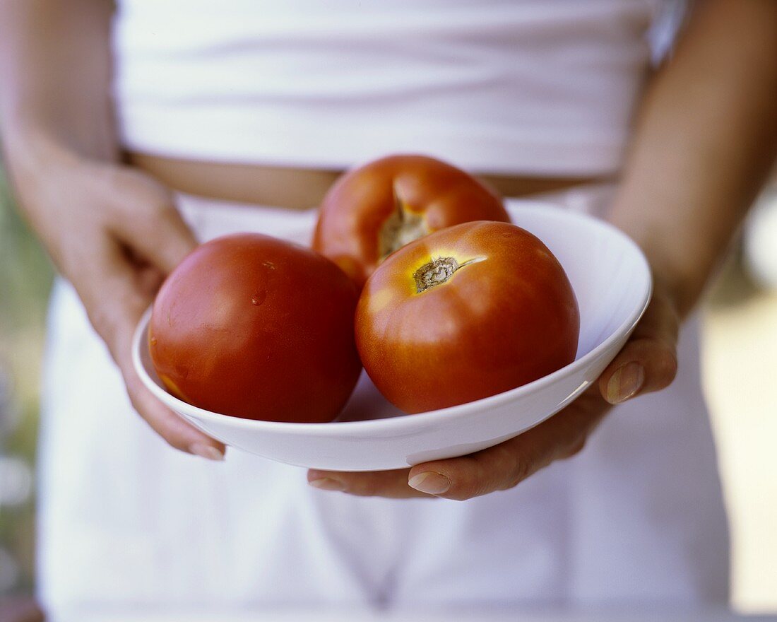 Hands holding bowl of tomatoes