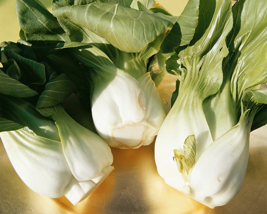 Pak Choi