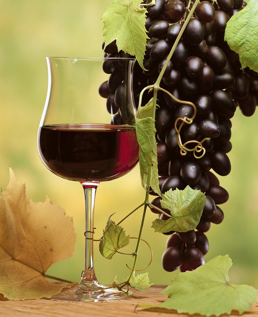 Still life with red wine and red wine grapes