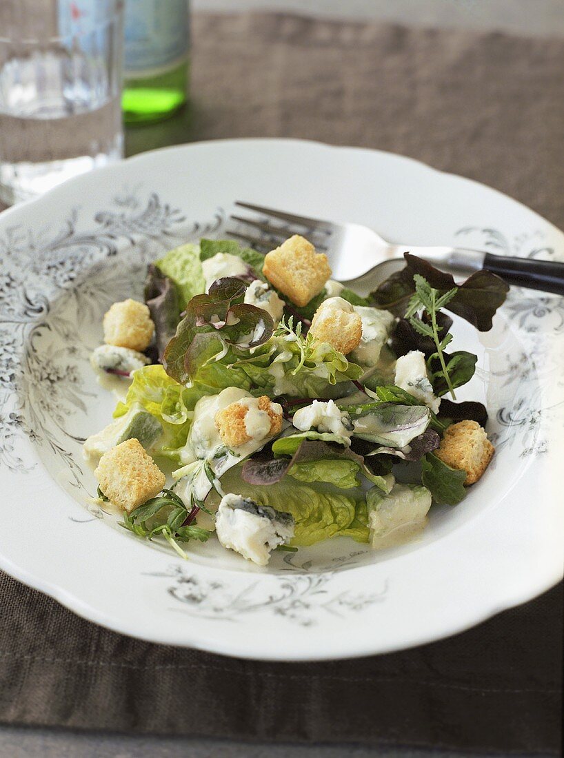 Avocadosalat mit Käse und Croûtons