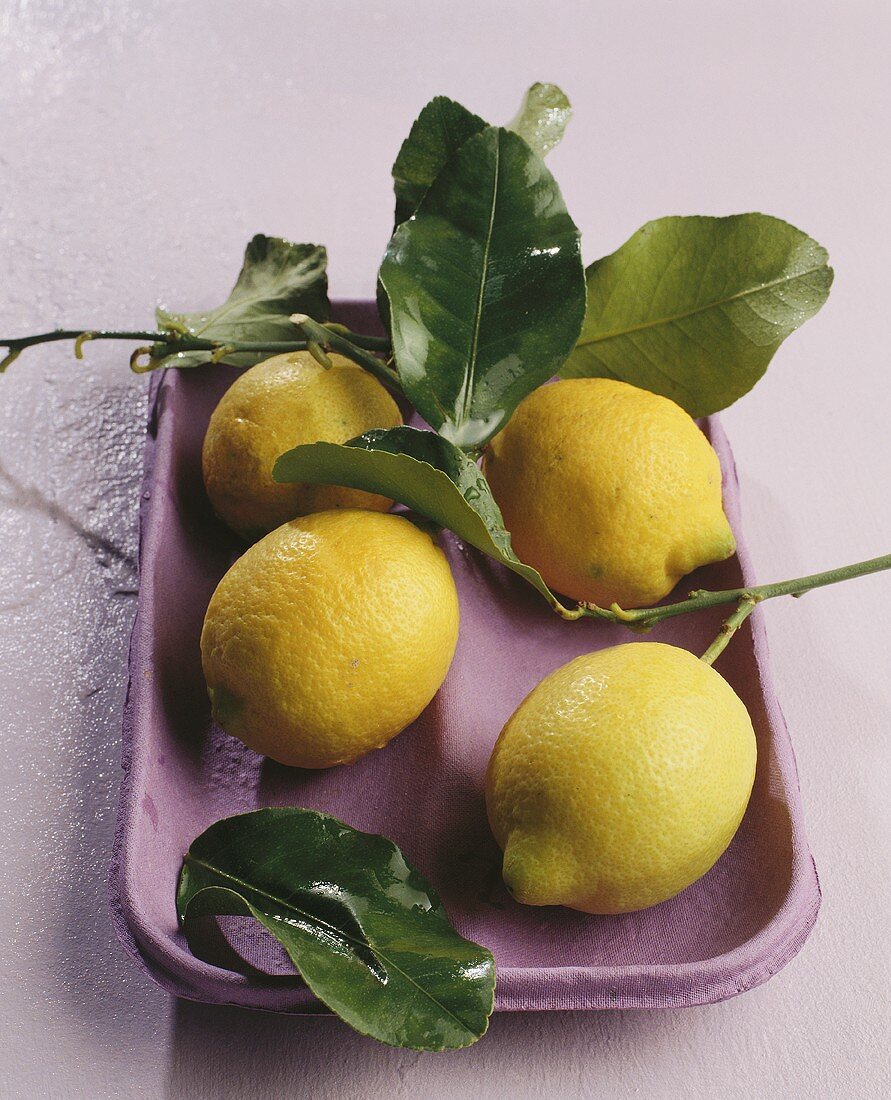 Vier Zitronen mit Blättern