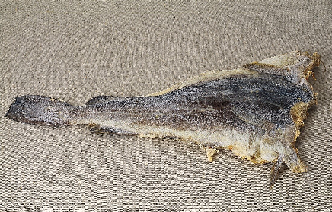 Stockfisch