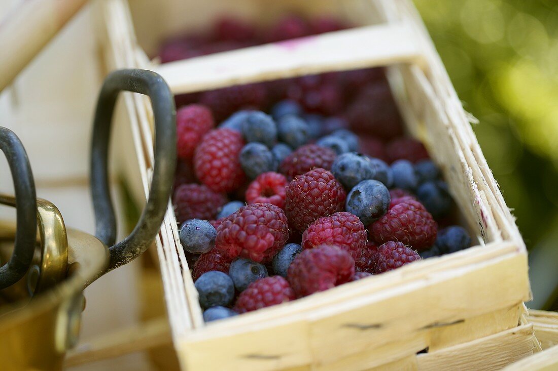 Raspberries and blueberries in punnet