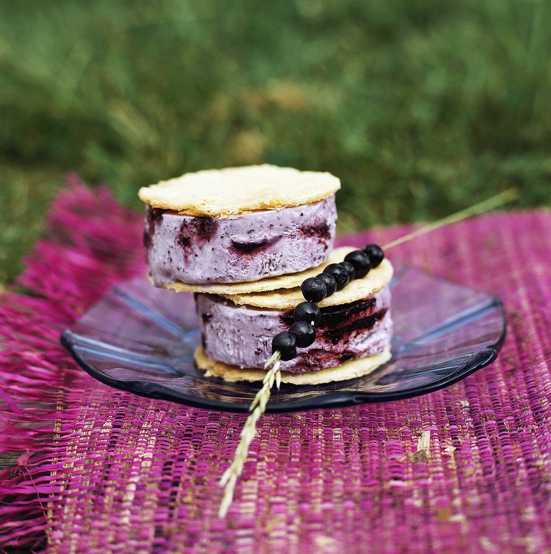 Blueberry ice cream sandwiches