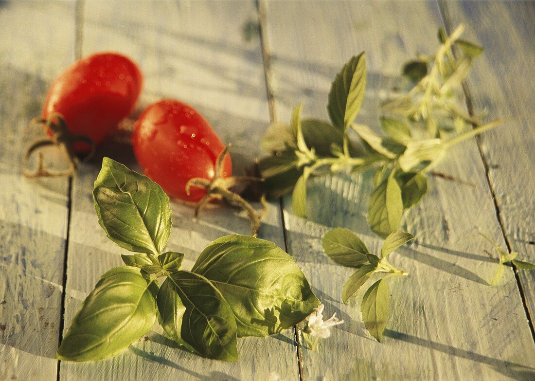 Fresh basil and tomatoes